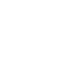 The ICE Network